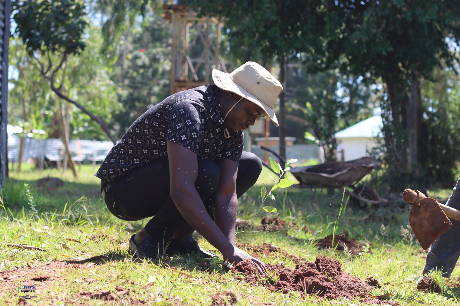 Tree Growing for Peace
