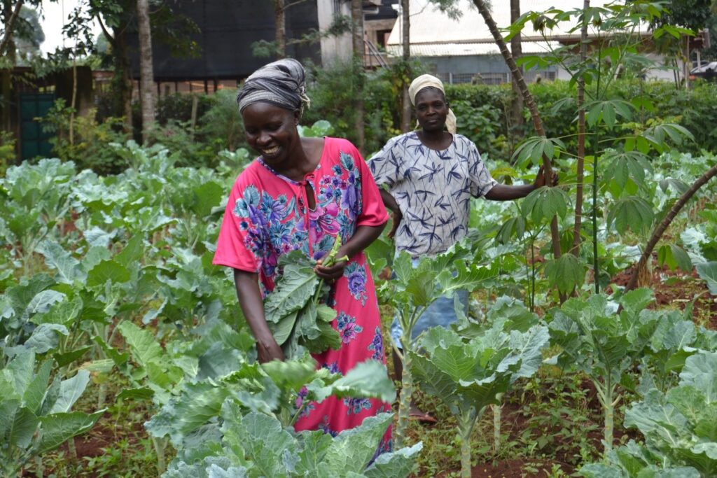 Climate Resilience Agriculture